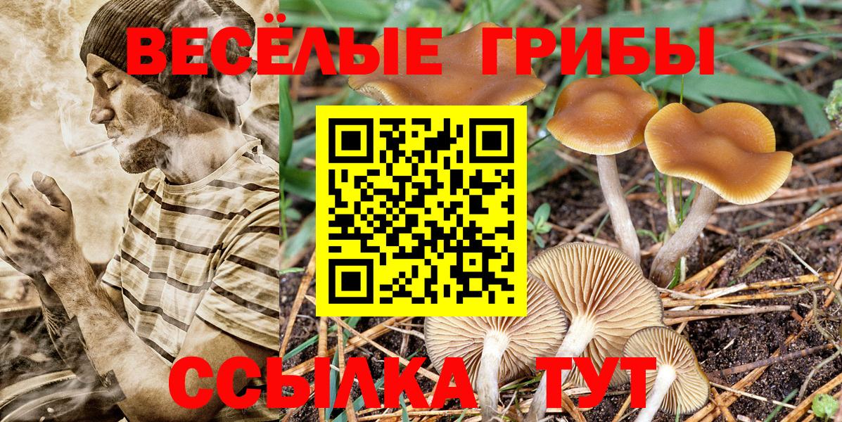 Зима  Галлюциногенные грибы Magic Shrooms  Вход с VPN 