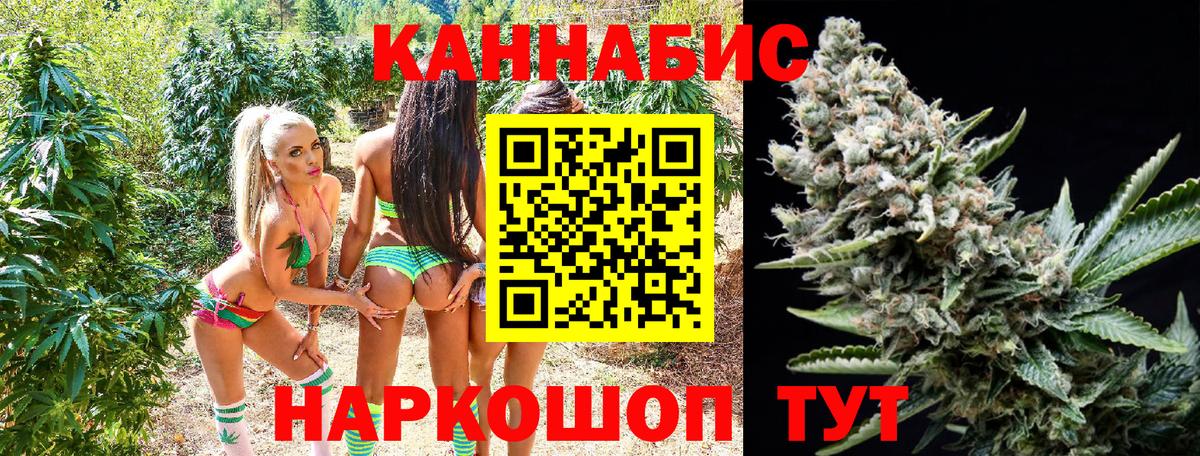 Каннабис семена Зима